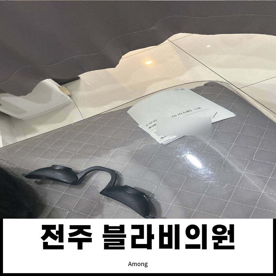 블라비 이미지