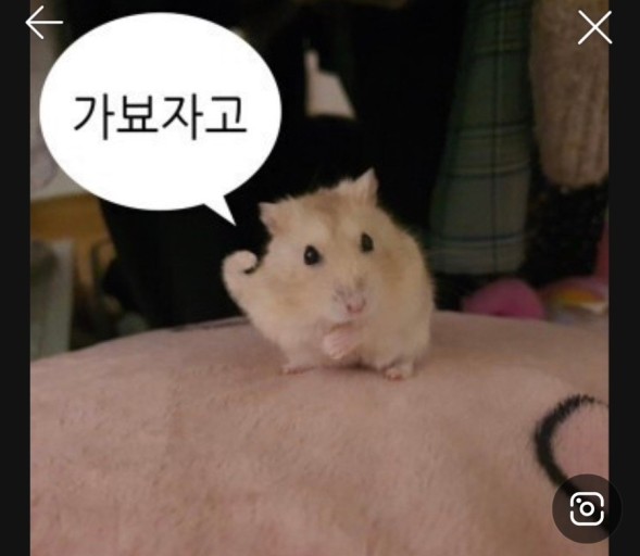 홍보성 이미지