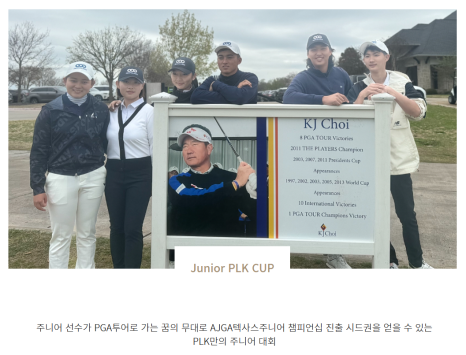 피링스 이미지