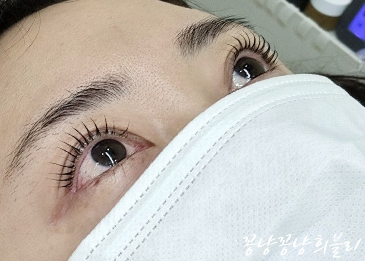네일베르네 이미지
