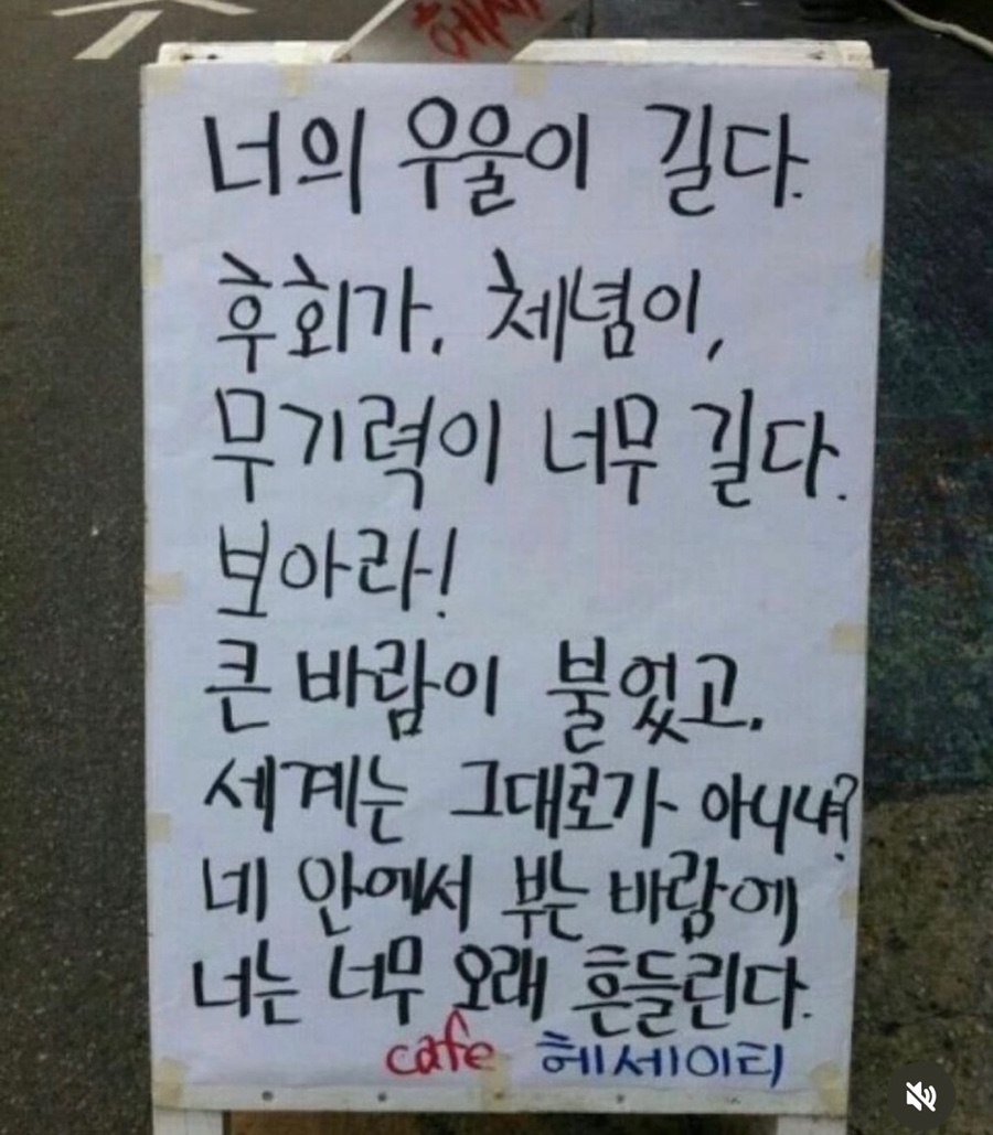 하이사이 이미지