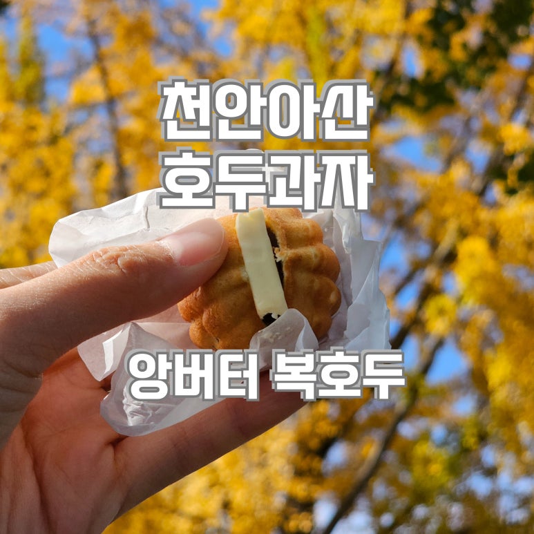 복호두아산 이미지