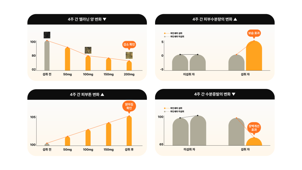 부여세라 이미지