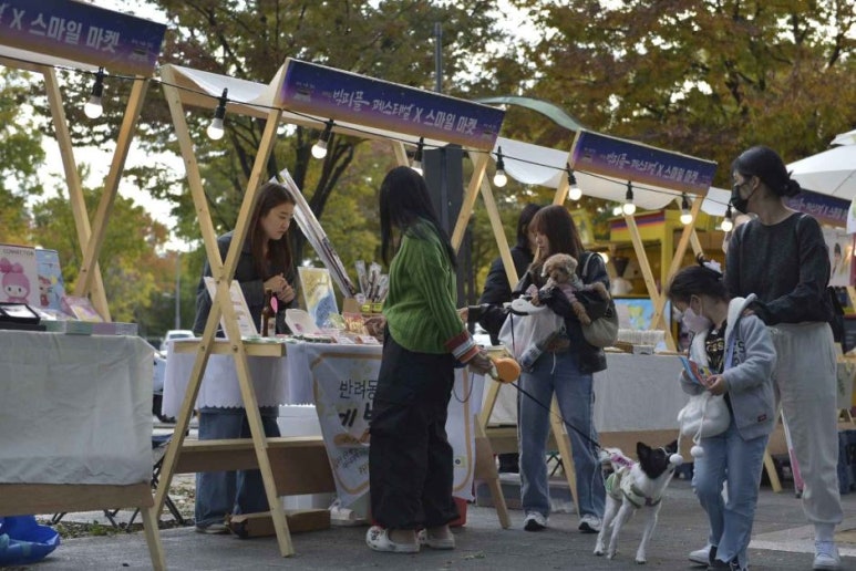 월문1 이미지