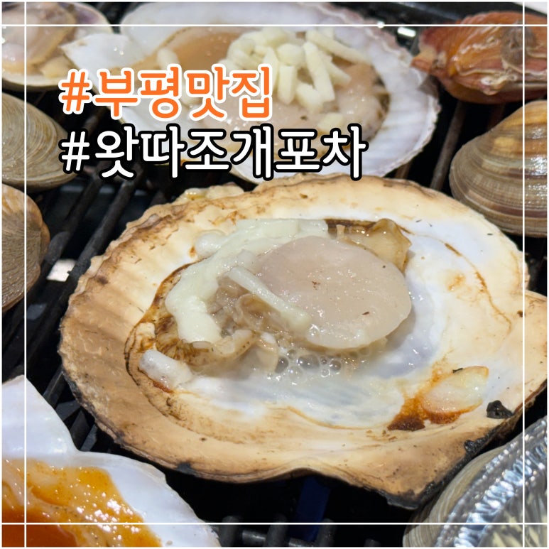 왓따조개포차 이미지