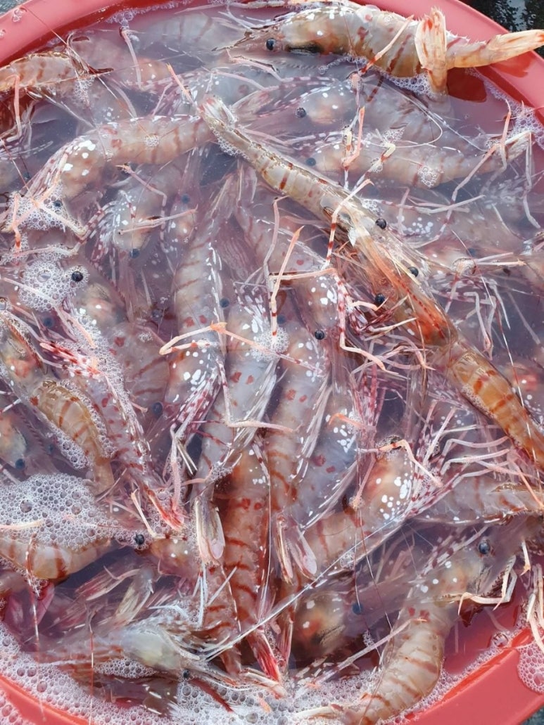 수 농수산 이미지