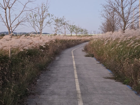 군산 청하대교 이미지