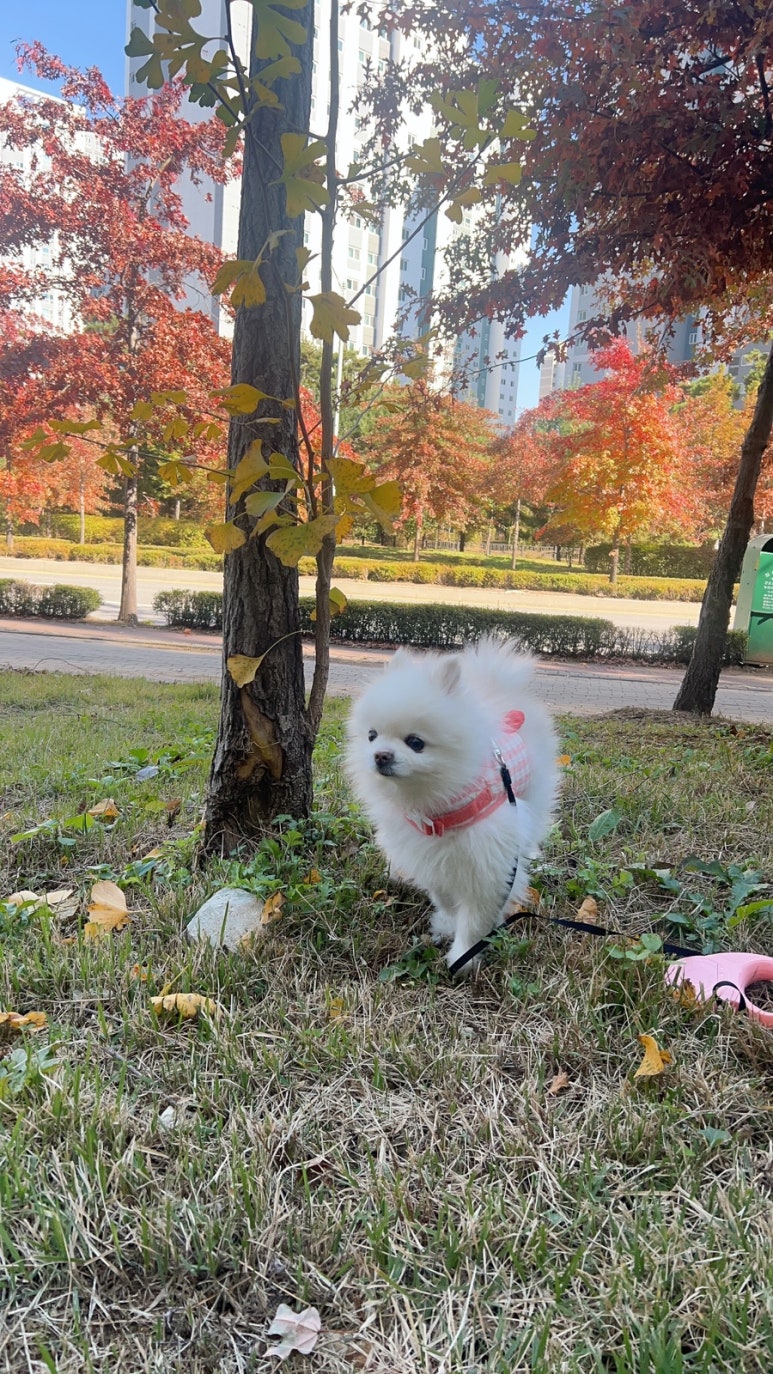 (주)두웅 이미지