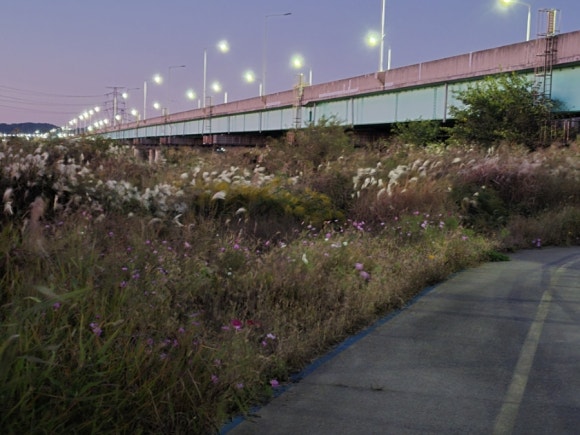 군산 청하대교 이미지