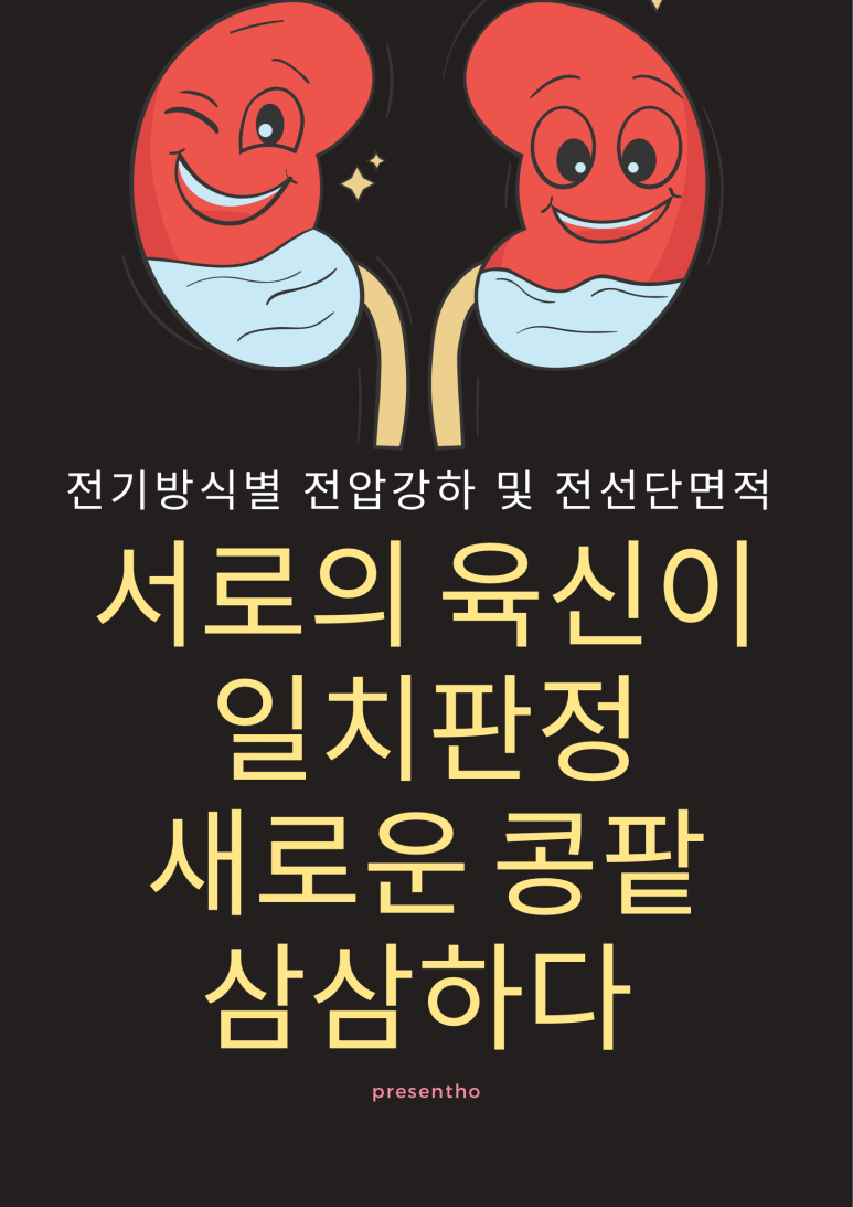 삼삼전기 이미지