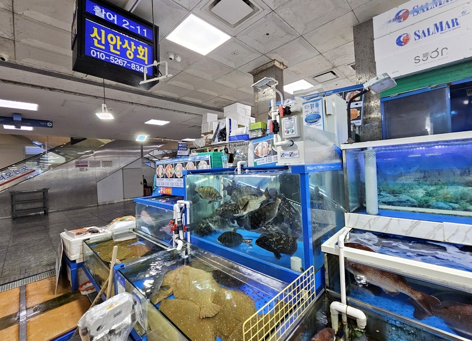 신안상회 이미지