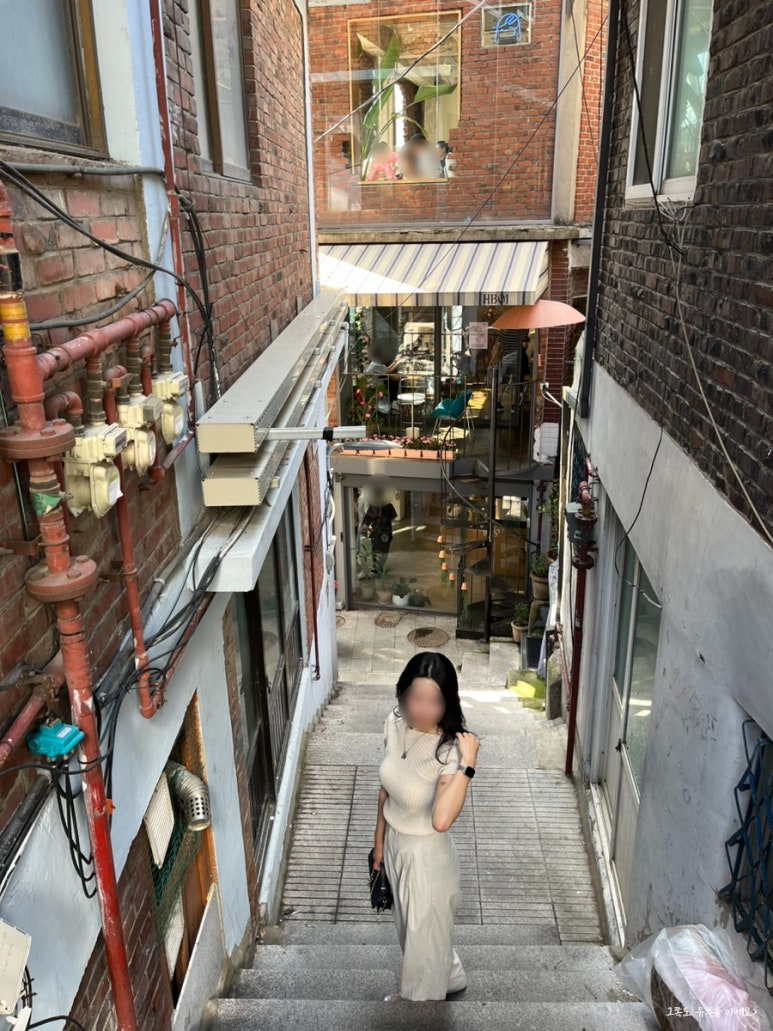 신흥청과 이미지