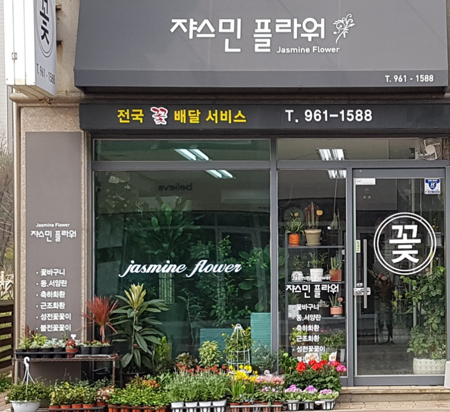 플라워쟈스민 이미지