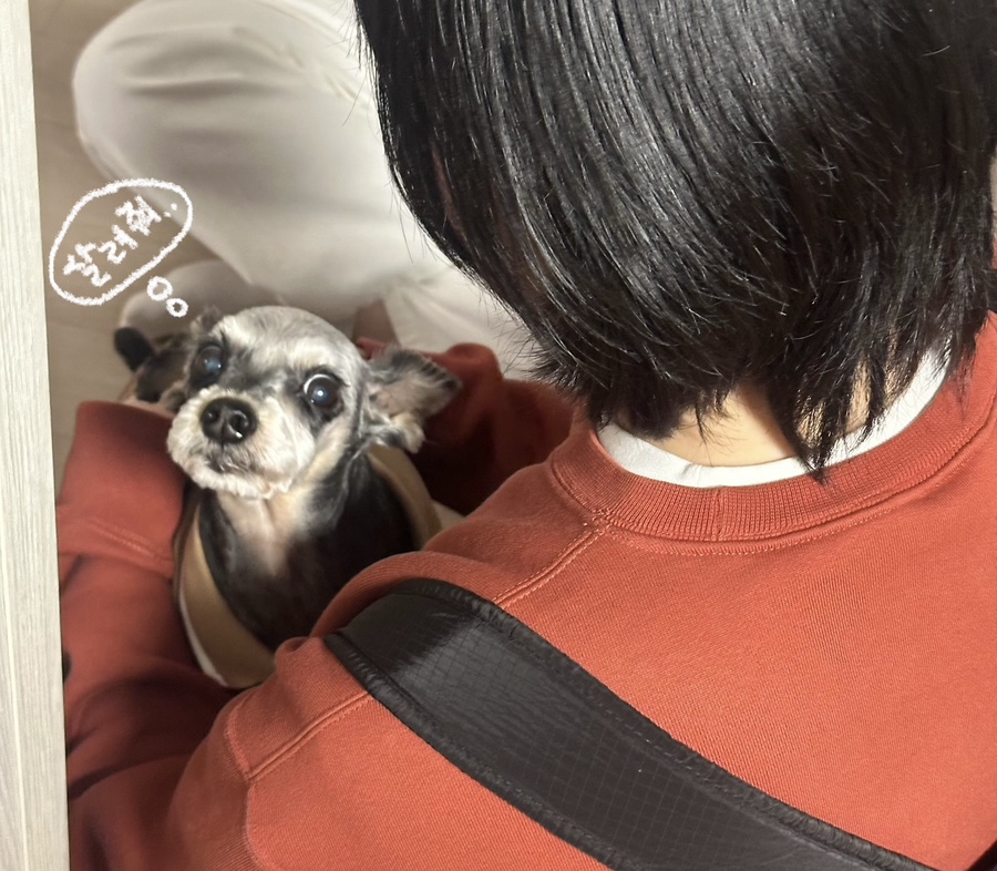 로즈옷방 이미지
