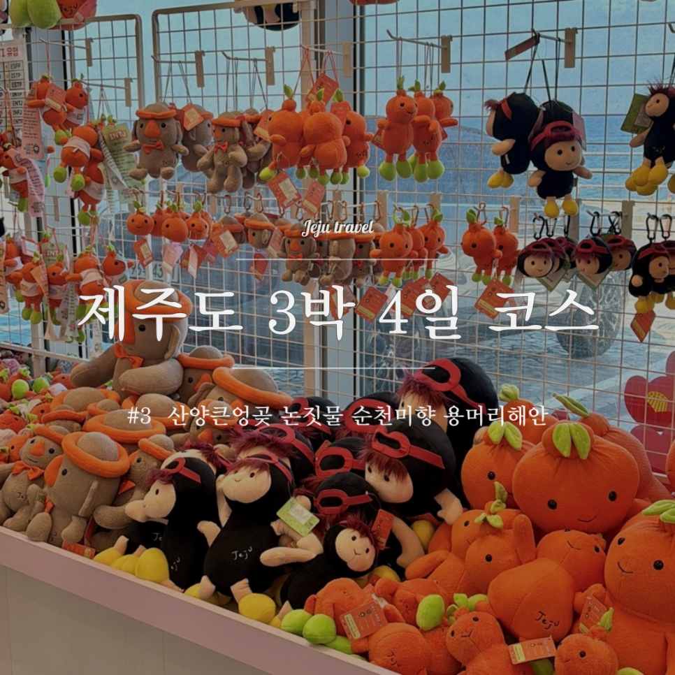 노이바움 이미지