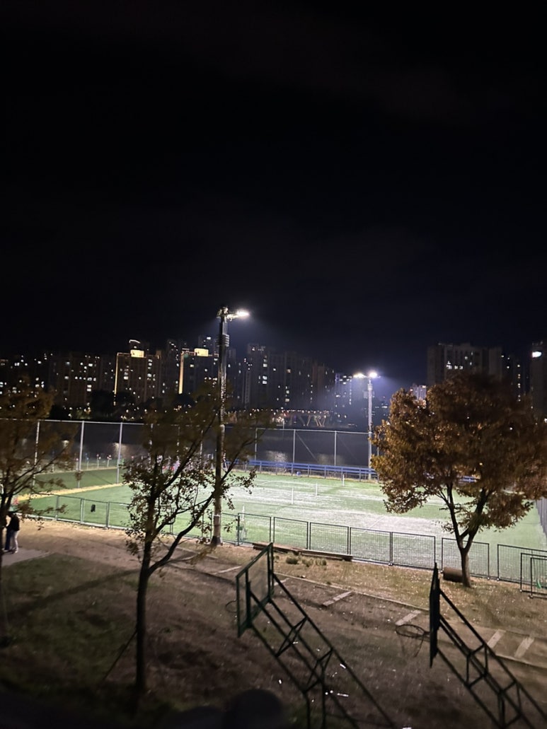 샐리즈로우 이미지