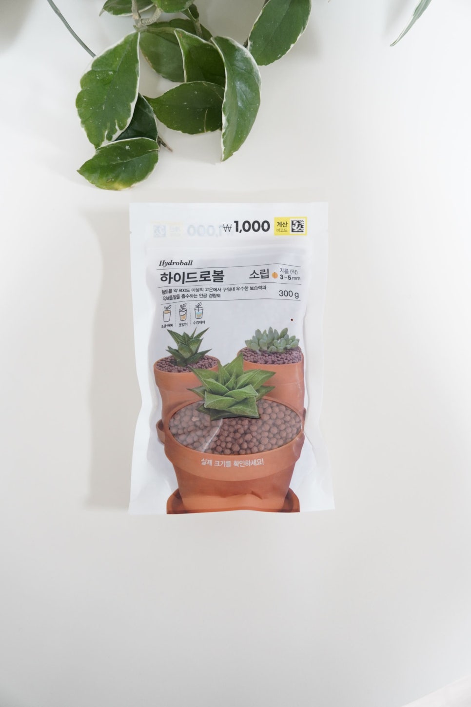 민스홈 이미지