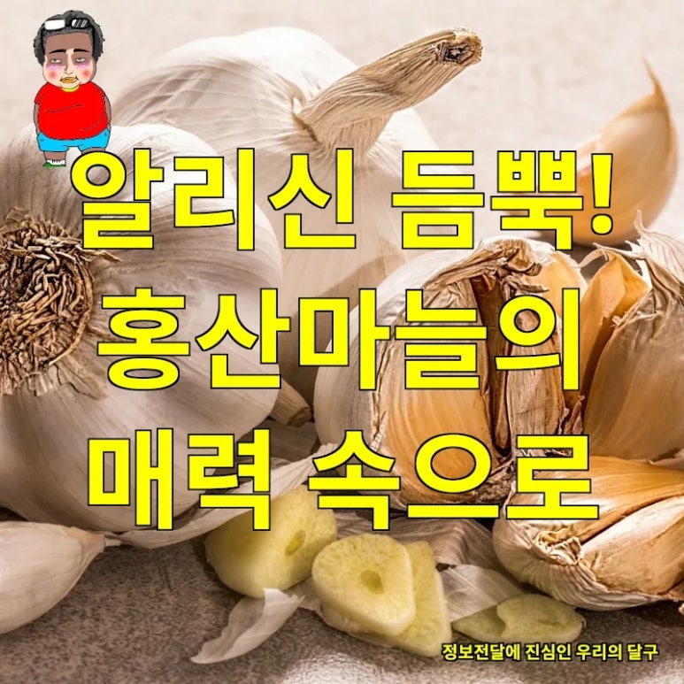 강화농부이씨 이미지