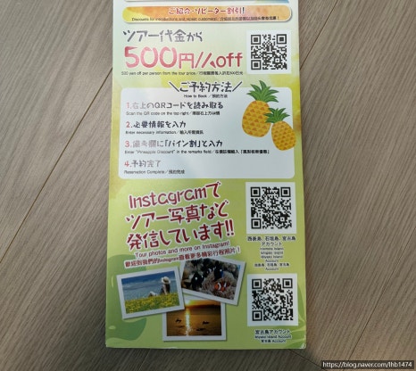 투어라인여행사 이미지