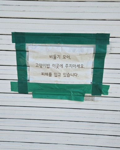 신림 라면옥 이미지