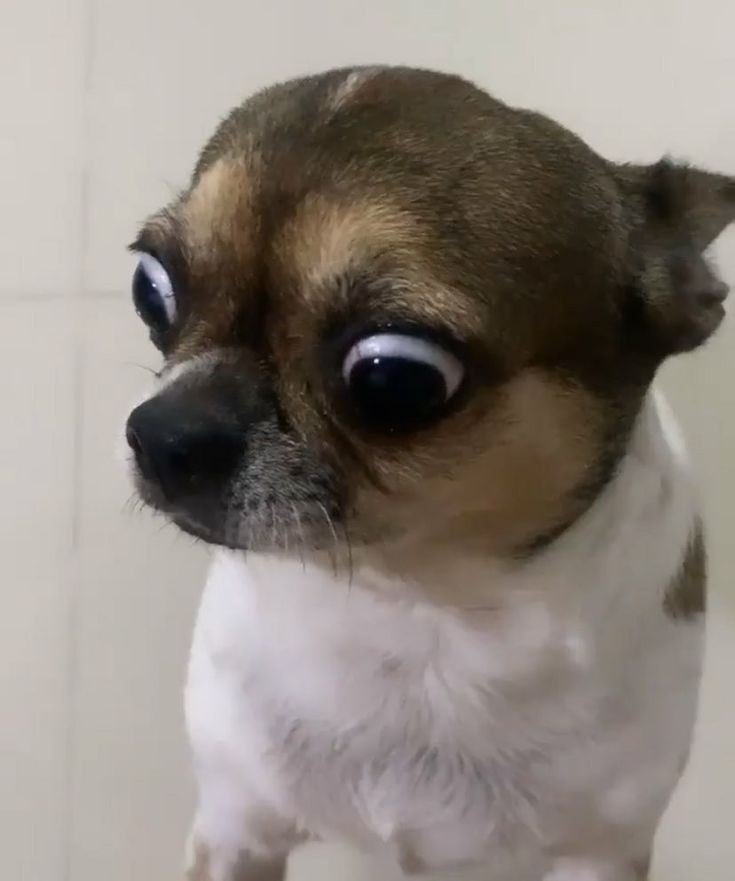 커피앨리 이미지