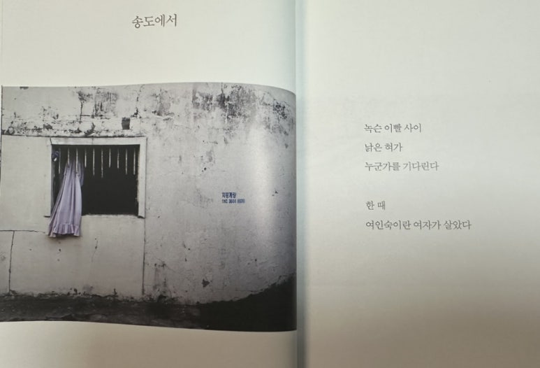 마음솔심리상담센터 이미지