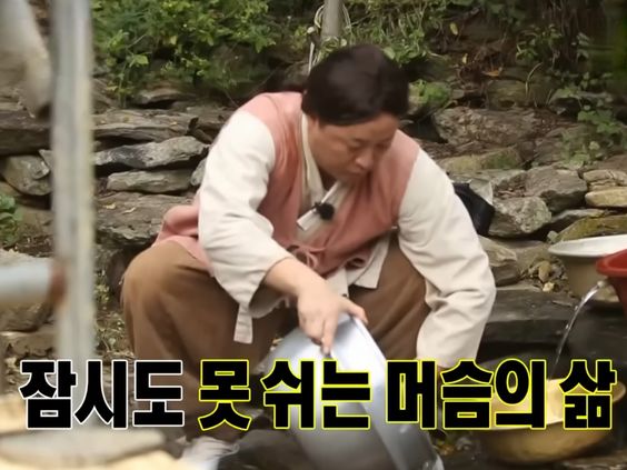 양재세탁 이미지