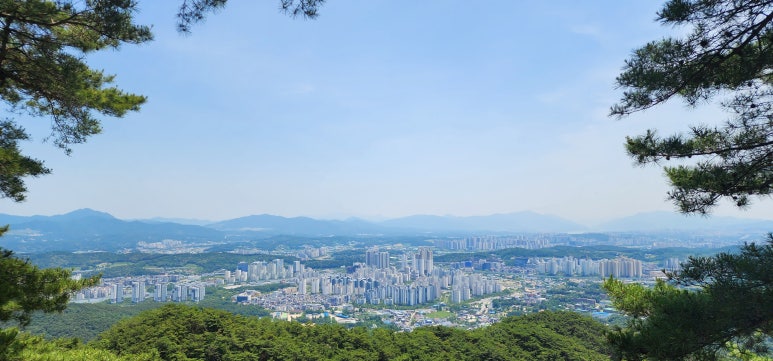 육마루 이미지
