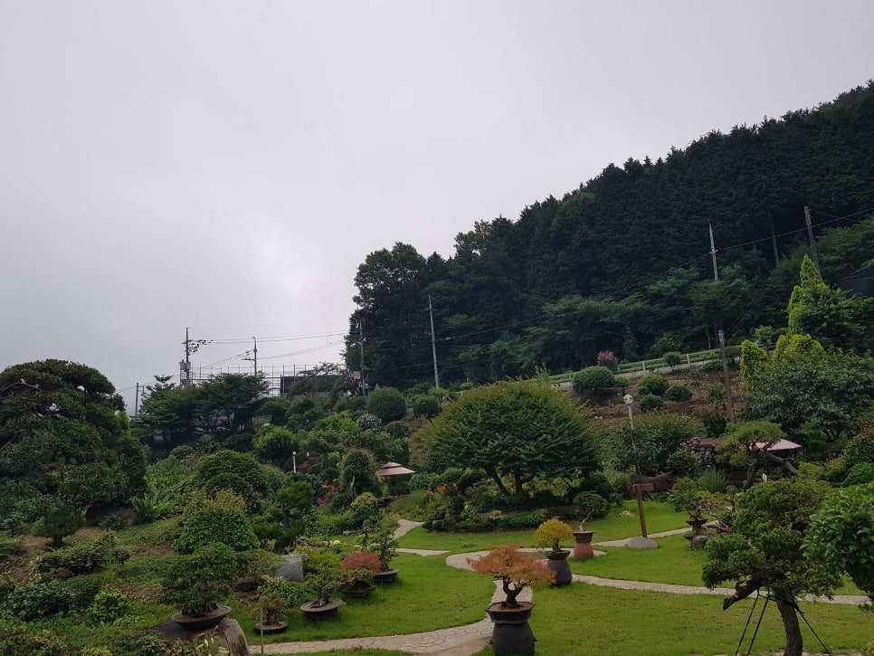카페춘화의정원 이미지