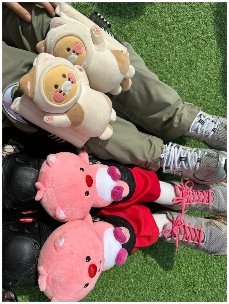 스카이패러 이미지