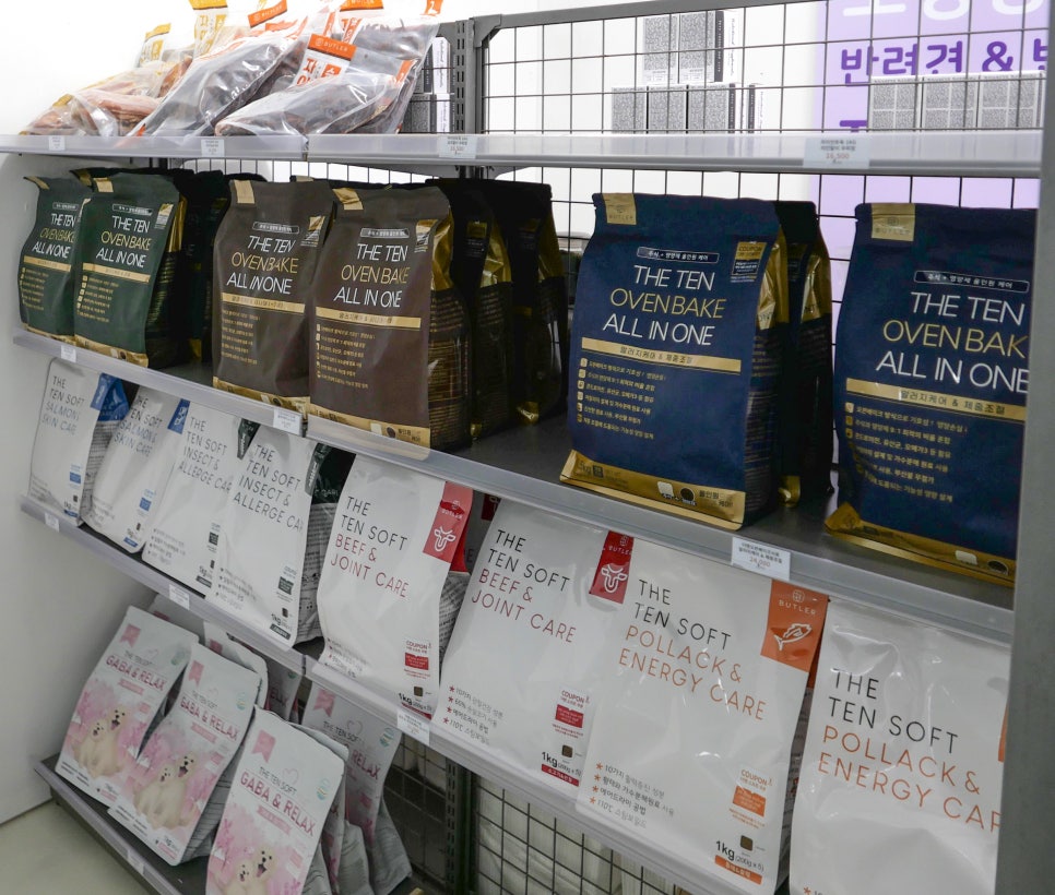 또멍냥 이미지