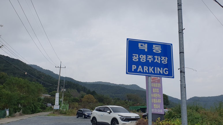 뽕반점 이미지