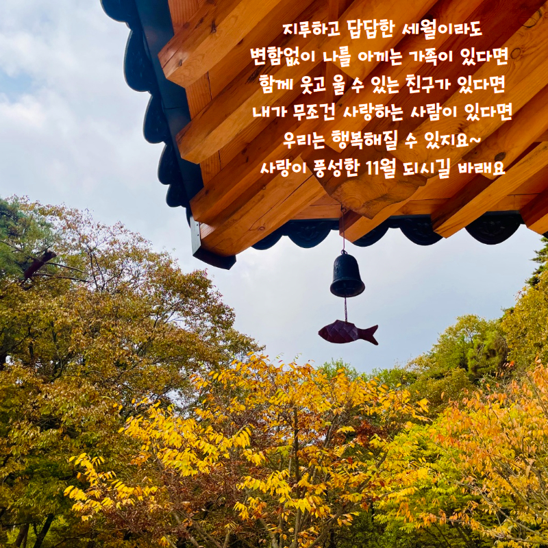 제이와이정보통신 이미지