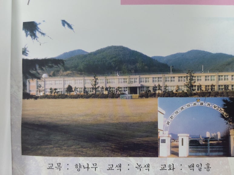 화순오성초등학교 이미지
