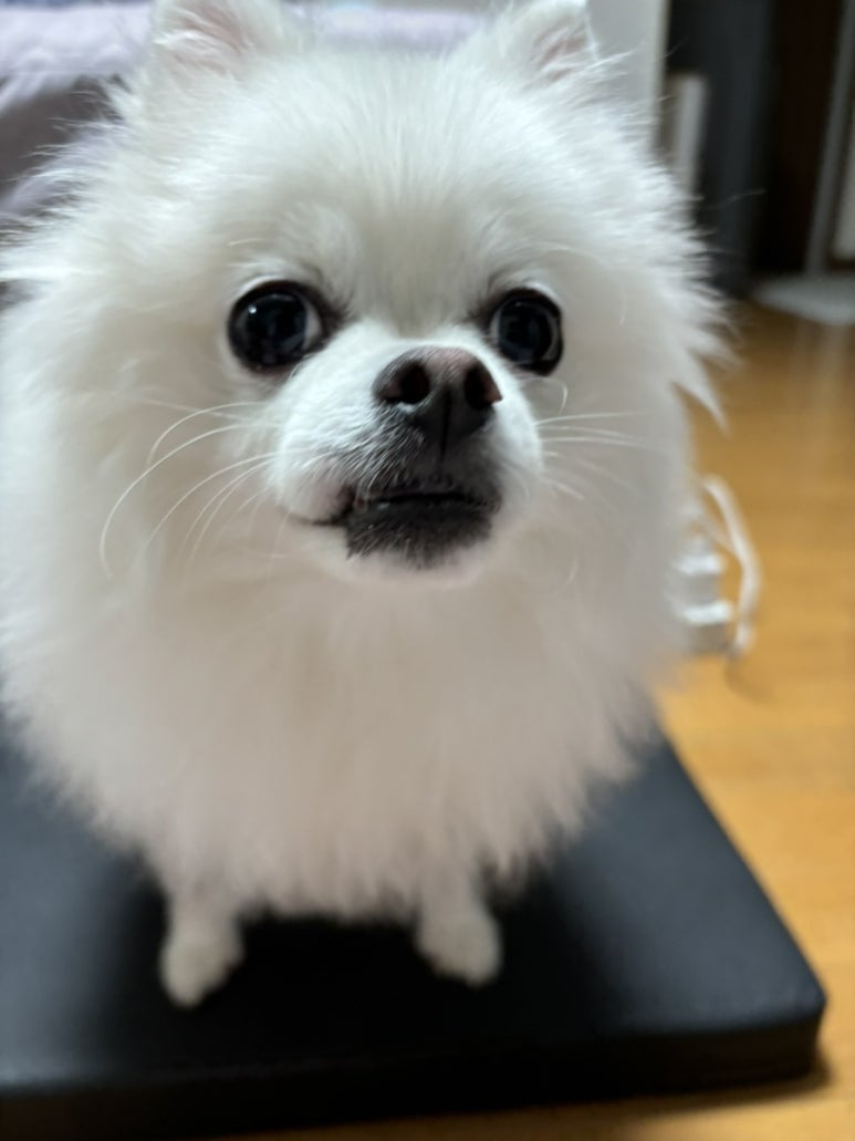 오즈노래연습장 이미지