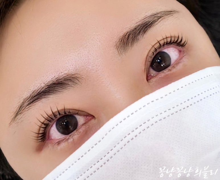 네일베르네 이미지