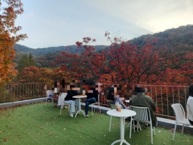 엔학고레 이미지