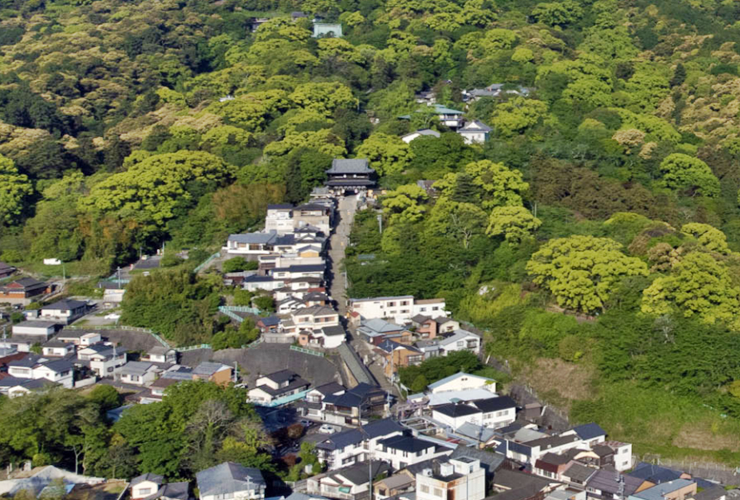 (주)본궁 이미지