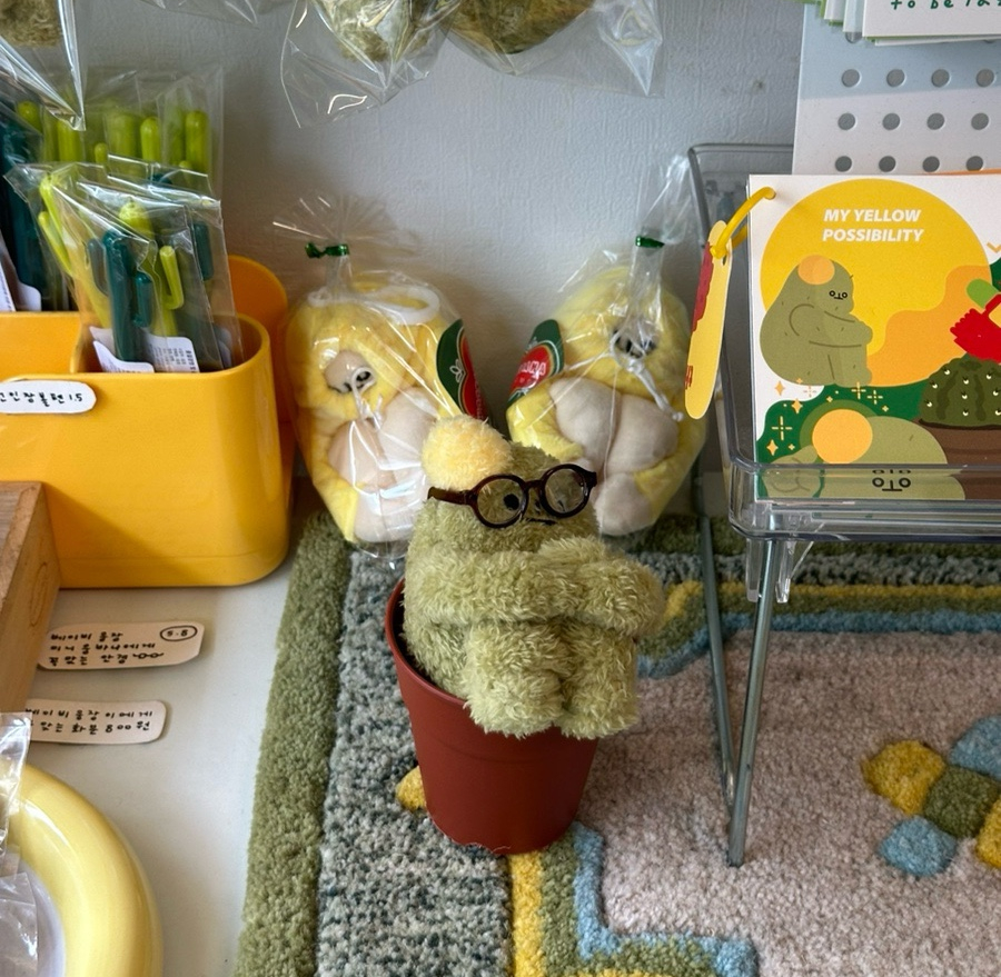 오케이선인장 이미지