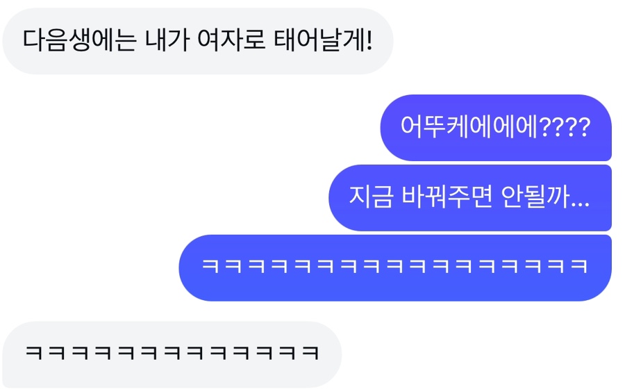 퐁달 이미지