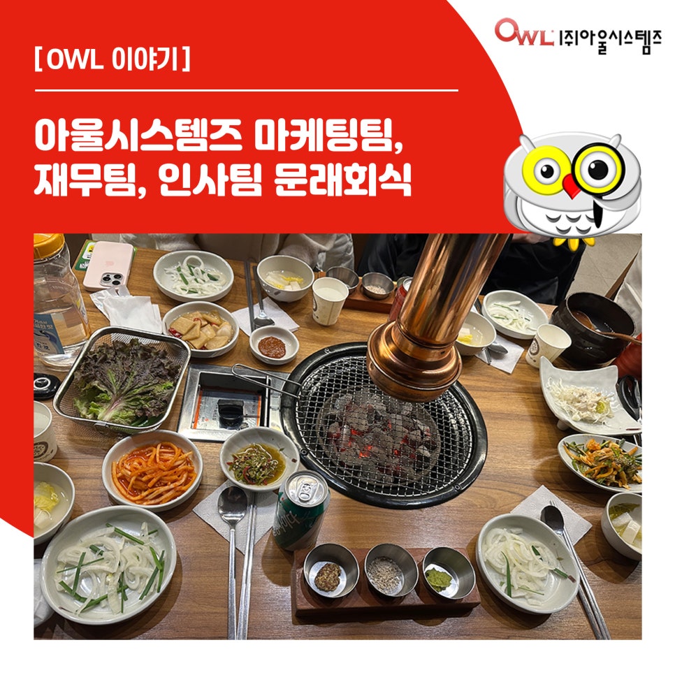 팀아울 이미지