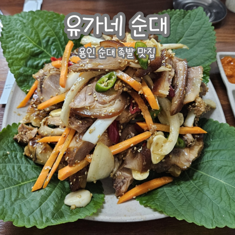 유가네순대 이미지