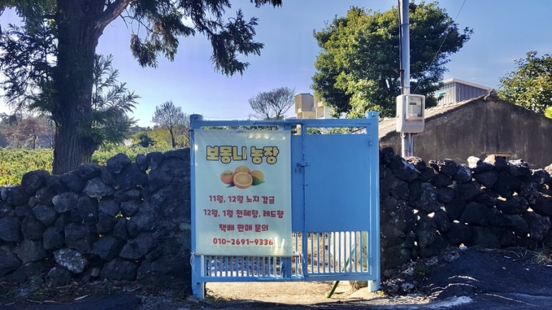 보몽니 이미지