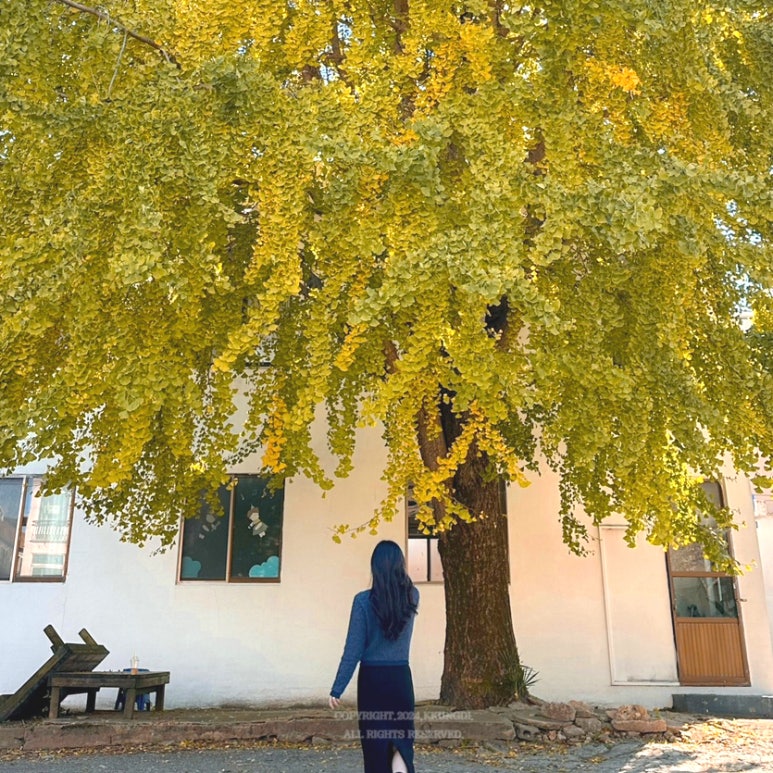 (주)세움 이미지