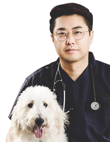 수의골관절학회 이미지