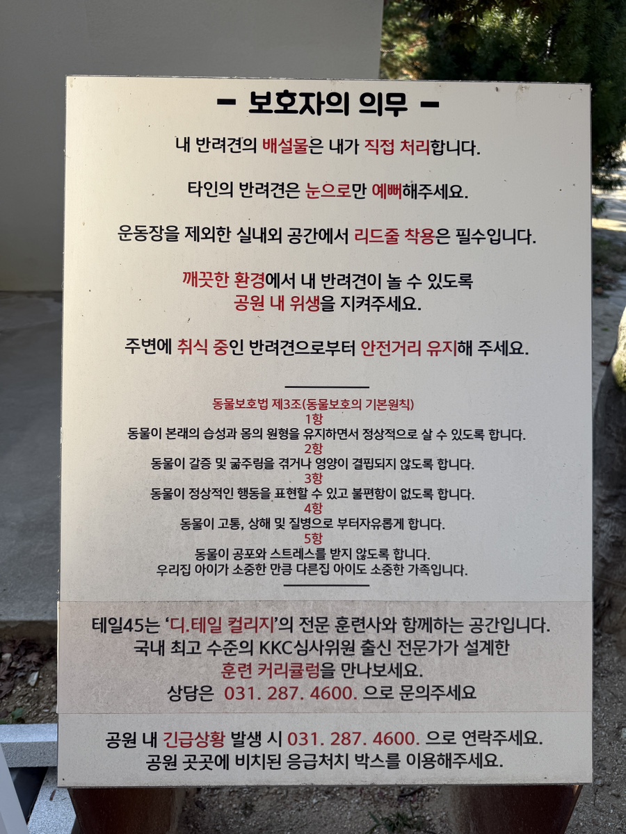 용인 테일45 애견동반 카페&운동장 후기 — 사진 8