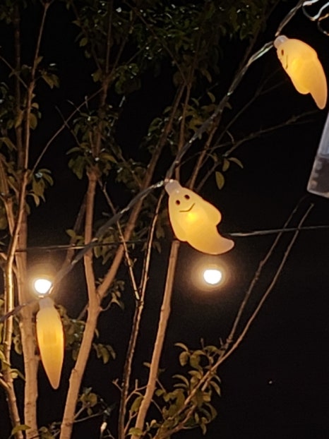 딸기네공방 이미지