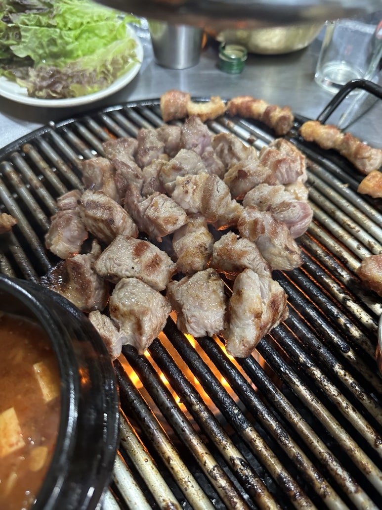 꿈꾸는돼지 이미지