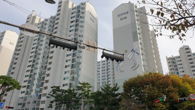 과일왕 이미지