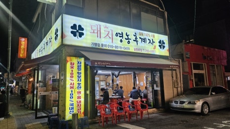 돼지영농후계자 이미지
